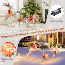 Load image into Gallery viewer, 3 Piece Lighted Christmas Reindeer with 255 Warm White Lights