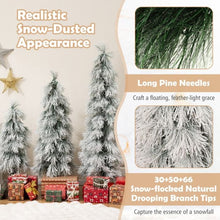 Load image into Gallery viewer, 3¡¯ 4¡¯ 5¡¯ Artificial Christmas Tree Set with Branch Tips and LED Lights