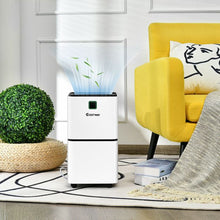 Load image into Gallery viewer, 12L Ultra-quiet, Portable, Electric Dehumidifier with 3 Modes