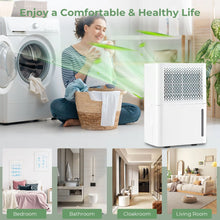 Load image into Gallery viewer, 12L/Day Dehumidifier with Continuous Drying Auto Mode and 24H Timer