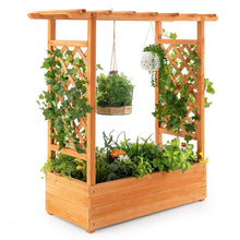 Load image into Gallery viewer, Raised Garden Bed with Arch Trellis