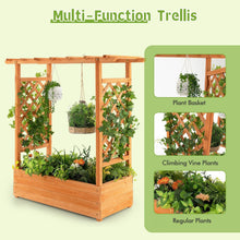 Load image into Gallery viewer, Raised Garden Bed with Arch Trellis