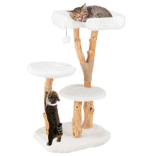 Load image into Gallery viewer, Solid Wood Cat Tree, Modern Wooden Cat Tower with Perch