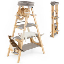 Load image into Gallery viewer, Foldable Cat Climbing Furniture with Ladder Design and Upholstered Top Perch