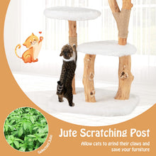 Load image into Gallery viewer, Solid Wood Cat Tree, Modern Wooden Cat Tower with Perch