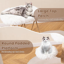 Load image into Gallery viewer, Cute Solid Wood Cat Tree Natural Branch Modern Kitten Tower