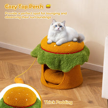 Load image into Gallery viewer, Cat House, Hamburger-Shaped Cats Cave Bed | Small Kitten Condo Furniture
