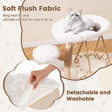 Load image into Gallery viewer, Cute Solid Wood Cat Tree Natural Branch Modern Kitten Tower