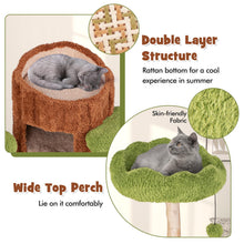 Load image into Gallery viewer, Cat Tree, Multi-level Cat Tower with 2-story Cat House, Sisal Scratching Posts & Board