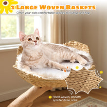 Load image into Gallery viewer, 122 CM Tall Real Wood Branch Kitten Tower with Flower Perch and 2 Wicker Baskets