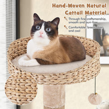 Load image into Gallery viewer, 164 cm Cat Tree with Jute Scratching Posts and Dangling Balls