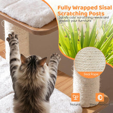 Load image into Gallery viewer, Wooden Cat Tree, 122cm Tall Indoor Cat Tower with 2-floor Condo, Cute Top Perch