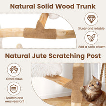 Load image into Gallery viewer, Cute Solid Wood Cat Tree Natural Branch Modern Kitten Tower