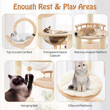 Load image into Gallery viewer, Multi-level Modern Solid Wood Cat Tower with Capsule Nest