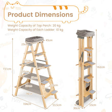 Load image into Gallery viewer, Foldable Cat Climbing Furniture with Ladder Design and Upholstered Top Perch