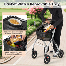 Load image into Gallery viewer, Wheeled Mobility Walker with Storage Basket