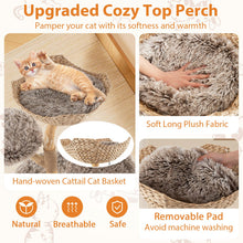 Load image into Gallery viewer, Multi-level Wood Cat Tree Tower Kitten Activity Center with Solid Trunk