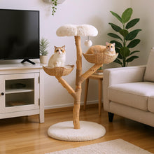 Load image into Gallery viewer, 122 CM Tall Real Wood Branch Kitten Tower with Flower Perch and 2 Wicker Baskets