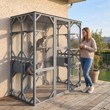 Load image into Gallery viewer, Large Outdoor Cat House, Walk-in Cats Enclosure