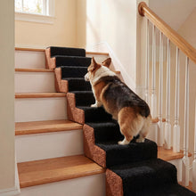 Load image into Gallery viewer, Dog Ladder with Removable Cover and Non-Slip Bottom