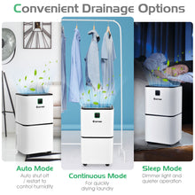 Load image into Gallery viewer, 12L/D Portable Room Dehumidifier Home Laundry Drying W/ Digital Control Panel