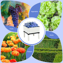 Load image into Gallery viewer, Set of 4 Raised Garden Bed Kits Elevated Flower Vegetable Herb Grow Planter Box