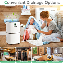 Load image into Gallery viewer, 12L/D Portable Room Dehumidifier Home Laundry Drying W/ Digital Control Panel