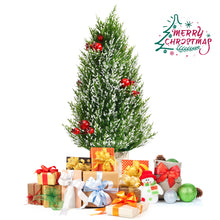 Load image into Gallery viewer, 47CM Tabletop Christmas Tree Likelike Mini Xmas Tree Decor 170 Snowy Branch Tips