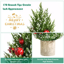 Load image into Gallery viewer, 47CM Tabletop Christmas Tree Likelike Mini Xmas Tree Decor 170 Snowy Branch Tips