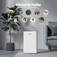 Load image into Gallery viewer, Active Carbon Replacement Filter, Air Purifier Filter Net, Home Air Purifier Parts & Accessories Particle Removal for Peculiar Smell, Chemical Substances