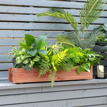 Load image into Gallery viewer, Outdoor Raised Garden Bed Fir Wood Elevated Flower Herbs Planter Growing Box