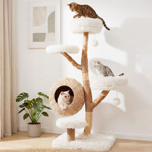 Load image into Gallery viewer, Wooden Cat Tree, Multi-Layer Cats Tower with Jute Scratching Posts
