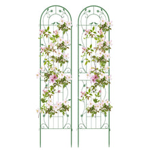 Load image into Gallery viewer, 2 Pack Metal Garden Trellis for Climbing Plants Vegetables and Roses
