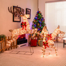 Load image into Gallery viewer, 3 Piece Lighted Christmas Reindeer with 255 Warm White Lights

