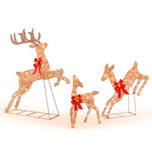 Load image into Gallery viewer, 3 Piece Lighted Christmas Reindeer with 255 Warm White Lights
