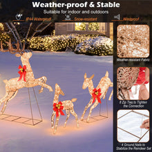 Load image into Gallery viewer, 3 Piece Lighted Christmas Reindeer with 255 Warm White Lights
