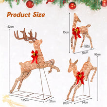 Load image into Gallery viewer, 3 Piece Lighted Christmas Reindeer with 255 Warm White Lights
