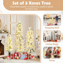 Load image into Gallery viewer, 3¡¯ 4¡¯ 5¡¯ Artificial Christmas Tree Set with Branch Tips and LED Lights
