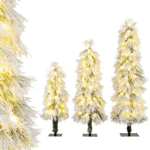 Load image into Gallery viewer, 3¡¯ 4¡¯ 5¡¯ Artificial Christmas Tree Set with Branch Tips and LED Lights
