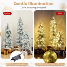 Load image into Gallery viewer, 3¡¯ 4¡¯ 5¡¯ Artificial Christmas Tree Set with Branch Tips and LED Lights
