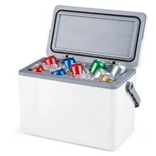 Load image into Gallery viewer, Portable Hard Cooler 12 L Injection Molded Insulated Ice Chest with Easy-Grip Handle
