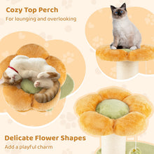 Load image into Gallery viewer, Cute Flower-Themed Kitten Activity Center for Indoor Cats
