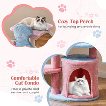 Load image into Gallery viewer, Cute Fluffy Kitten Activity Center for Indoor Cats
