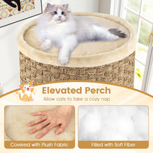 Load image into Gallery viewer, Cat House for Indoor Cats, 3/4-Story Cat Hideaway Cave Bed

