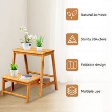 Load image into Gallery viewer, 2-Tier Foldable Step Stool
