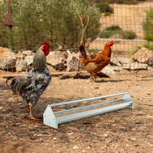 Load image into Gallery viewer, 115cm Long Heavy-Duty Large Capacity Chicken Feeder
