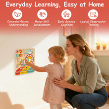Load image into Gallery viewer, Daily Calendar Wooden Toy with Clock and Seasons
