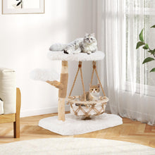 Load image into Gallery viewer, Cute Solid Wood Cat Tree Natural Branch Modern Kitten Tower
