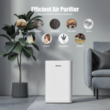 Load image into Gallery viewer, Active Carbon Replacement Filter, Air Purifier Filter Net, Home Air Purifier Parts &amp; Accessories Particle Removal for Peculiar Smell, Chemical Substances
