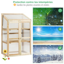 Load image into Gallery viewer, Mini Wooden Cold Frame Greenhouse Outdoor 3-Tier Raised Flower Planter Shelf
